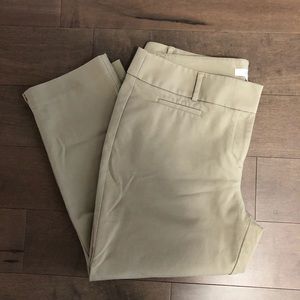 Ann Taylor Loft Cropped Marisa Pants (14)